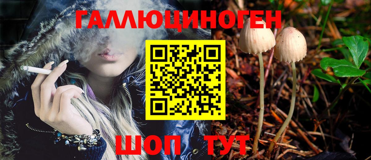 Псилоцибиновые грибы MAGIC MUSHROOMS Анжеро-Судженск
