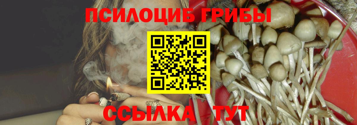 Псилоцибиновые грибы мухоморы  Вход с VPN  что такое наркотик  Анжеро-Судженск 